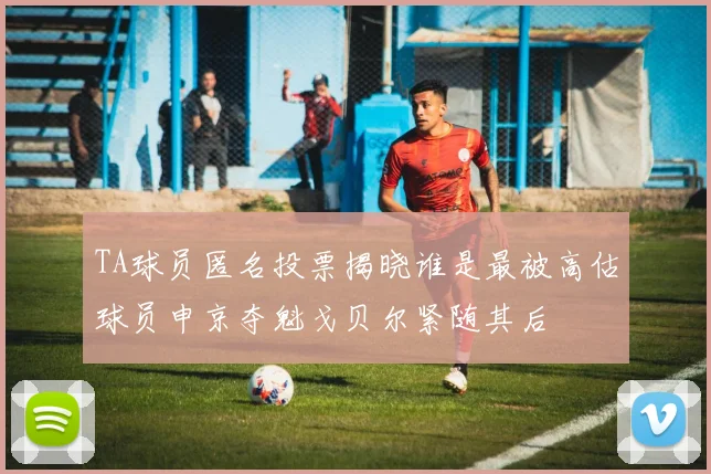 TA球员匿名投票揭晓谁是最被高估球员申京夺魁戈贝尔紧随其后